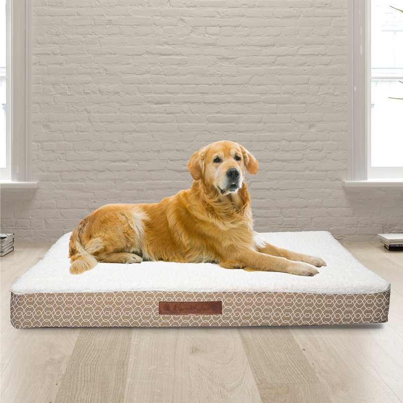 Wags and Whiskers Orthopedic Geometric Memory Foam Pet Bed & Reviews